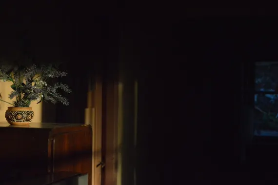 Trada Casino Ondersteuning